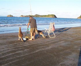 Illawong Beach QLD Stayed