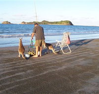 Cape Hillsborough National Park - Stayed
