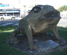 Big Cane Toad - Stayed 0