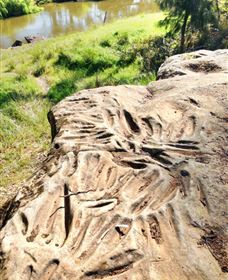 Terramungamine Rock Grooves - Stayed 0