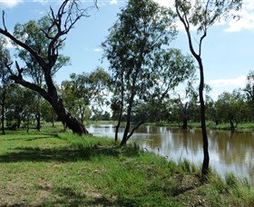 Seplin Estate Wines - Stayed 1