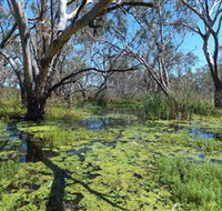 Macquarie Valley Trails - Stayed