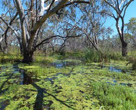 Macquarie Valley Trails - Stayed 0