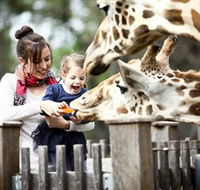 Taronga Western Plains Zoo Dubbo - Stayed