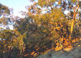 Mount Alexander Regional Park - Stayed 0