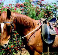 Western Plains Riding Centre - Stayed