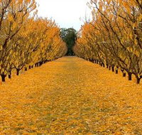 Sun Country on the Murray Farm Gate Trail - Stayed