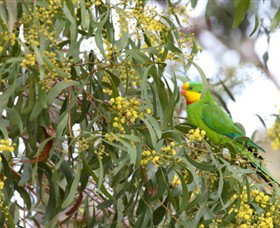Savernake Day Tours - Stayed 3