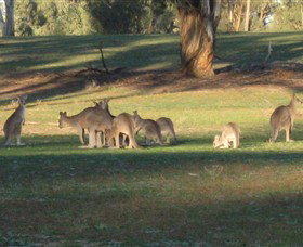 Savernake Day Tours - Stayed 4