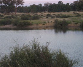 Savernake Day Tours - Stayed 7