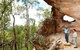 Pilliga National Park - thumb 0