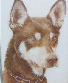 Doris Golder Wool Art Gallery - Stayed 1