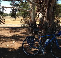 Murchison Rail Trail - Stayed
