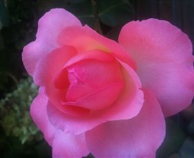 Abandon Stress Mobile Massage - Stayed 2