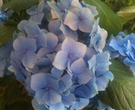 Abandon Stress Mobile Massage - Stayed 3