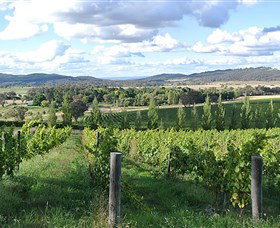 Sassy Wines - Stayed 0