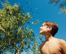 Birdwatching On Keswick Island - Stayed 0