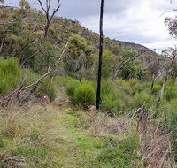 Lynchs loop trail - Stayed