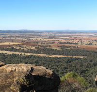 Basin Gully to Eualdrie lookout track - Stayed