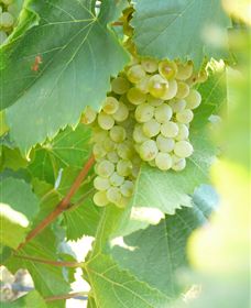 Baptista - David Traeger - Stays Accommodation 2