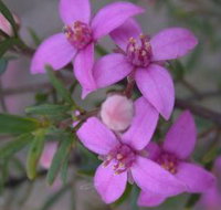 Self Drive Geology and Nature Trails - Stayed