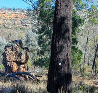 Eualdrie walking track - Stayed