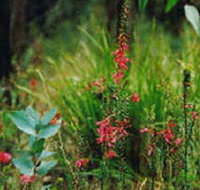 Enfield State Park - Stays Accommodation