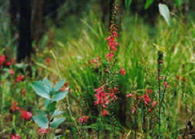 Enfield State Park - Stayed 0