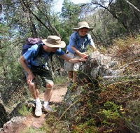 Mount Arthur Reserve - Stayed
