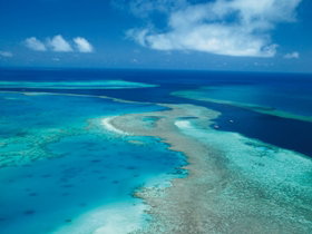 Fairey Reef - Stayed 2