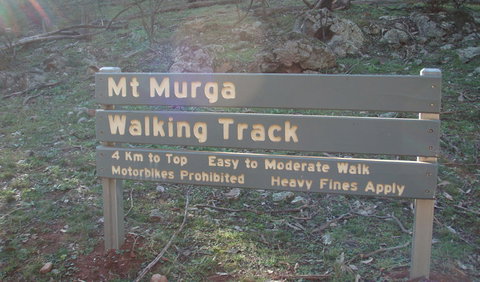 Mount Murga Walking Track - Stayed 1