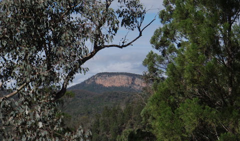 Mount Murga Walking Track - Stayed 2