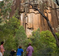 Sawn Rocks walking track - Stayed