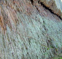 The Rock Nature Reserve - Kengal Aboriginal Place - Stayed