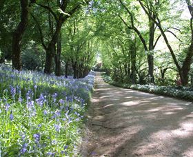 Duneira, Mt Macedon - Stayed 3