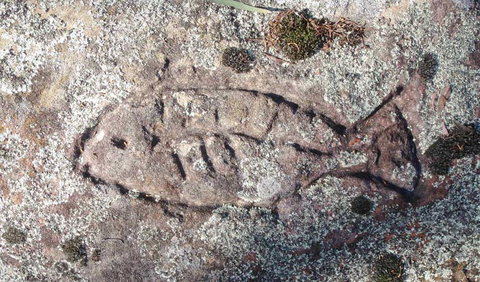 Terry Hie Hie Aboriginal Area - Stayed 3