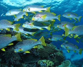 Challenger Bay Dive Site - Stayed 0