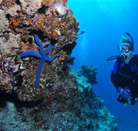 Lighthouse Bommie Dive Site - Stayed