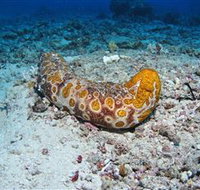 Two Towers Dive Site - Stayed