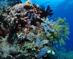 Two Towers Dive Site - Stayed 2