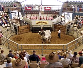 Gracemere Exhibition Complex - Stays Accommodation 1