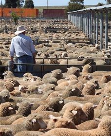 Livestock Marketing Centre - Stayed 0