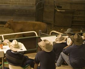 Livestock Marketing Centre - Stayed 2