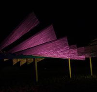 Public Art Wagga Wagga - Stayed