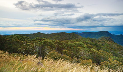 Doug Sky Lookout - Stayed 2