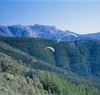 Buffalo Brewery - Stayed