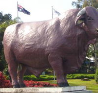 Rockhampton Bull Statues - Stayed