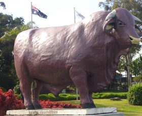 Rockhampton Bull Statues - Stayed 0