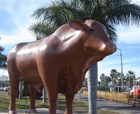 Rockhampton Bull Statues - Stayed 3