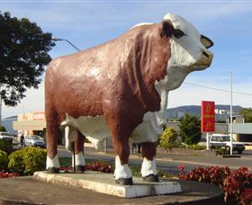 Rockhampton Bull Statues - Stayed 2